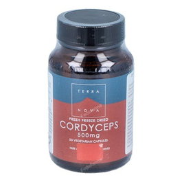 Terranova Cordyceps sinensis 500 mg - Complemento alimenticio de hongo Cordiceps - 50 cápsulas vegetales aptas para vegetarianos y veganos