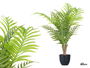 Ibergarden Planta Artificial Areca 60 cm Verde Plástico 65x77x65 cm Maceta 12.5x12.5x11 cm (Set de 6)