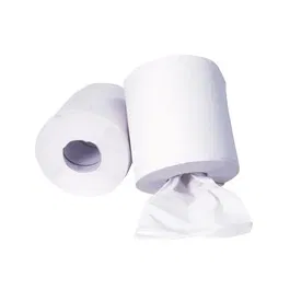 Proser Papel Secamanos Aixa - 2 Capas, 180 Metros, 1 Rollo (1 Unidad)