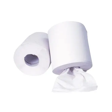 Proser Papel Secamanos Aixa - 2 Capas, 180 Metros, 1 Rollo (1 Unidad)