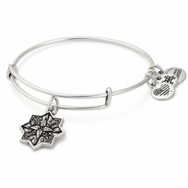 Alex And Ani Pulsera Amor Sanador Gris