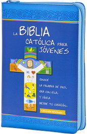 VERBO DIVINO, BIBLIA CATOLICA PARA JOVENES. DOS TINTAS SIMIL CREMALLERA - VERBO DIVINO