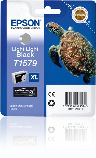 Epson Stylus Photo R3000 Cartucho Gris Claro Epson Stylus Photo R3000 Cartucho Gris Claro