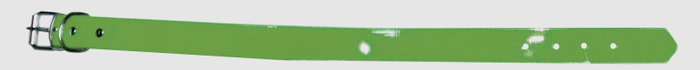 Biothane Collar Higiénico Duradero Verde 25 mm x 60 cm Biothane Collar Higiénico Duradero Verde 25 mm x 60 cm