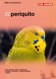 H.BLUME Periquito