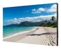 Sharp PN-UN553S Multisync UN553S Videowall LFD 55 pulgadas Full HD IPS