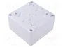 ELEKTRO-PLAST NASIELSK Carcasa Universal Industrial Blanca IP65 IK07