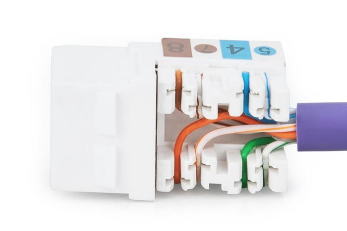 Digitus DN-93601 Módulo Keystone CAT 6 RJ45 a LSA Blanco