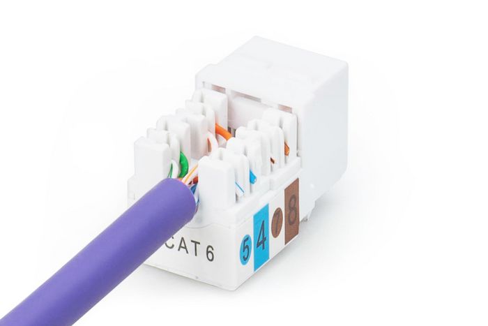 Digitus DN-93601 Módulo Keystone CAT 6 RJ45 a LSA Blanco
