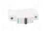 SCHNEIDER ELECTRIC Interruptor magnetotérmico ACTI9 K60N 32A 1P 6kA