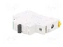 SCHNEIDER ELECTRIC Interruptor magnetotérmico ACTI9 K60N 32A 1P 6kA