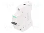 SCHNEIDER ELECTRIC Interruptor magnetotérmico ACTI9 K60N 32A 1P 6kA