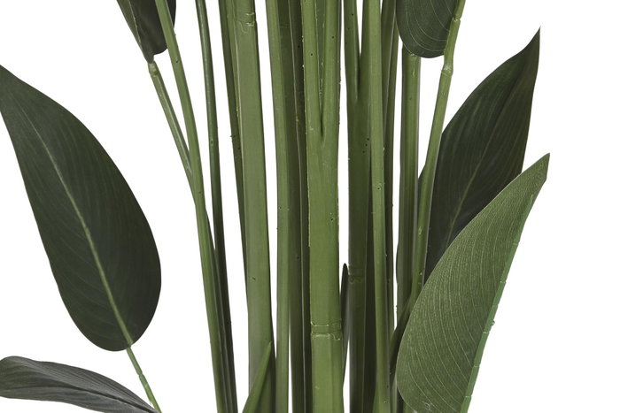 DKD Home Decor Planta de Ave del Paraíso Verde de Poliéster PP DKD Home Decor Planta de Ave del Paraíso Verde de Poliéster PP