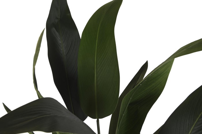 DKD Home Decor Planta de Ave del Paraíso Verde de Poliéster PP DKD Home Decor Planta de Ave del Paraíso Verde de Poliéster PP