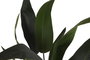 DKD Home Decor Planta de Ave del Paraíso Verde de Poliéster PP