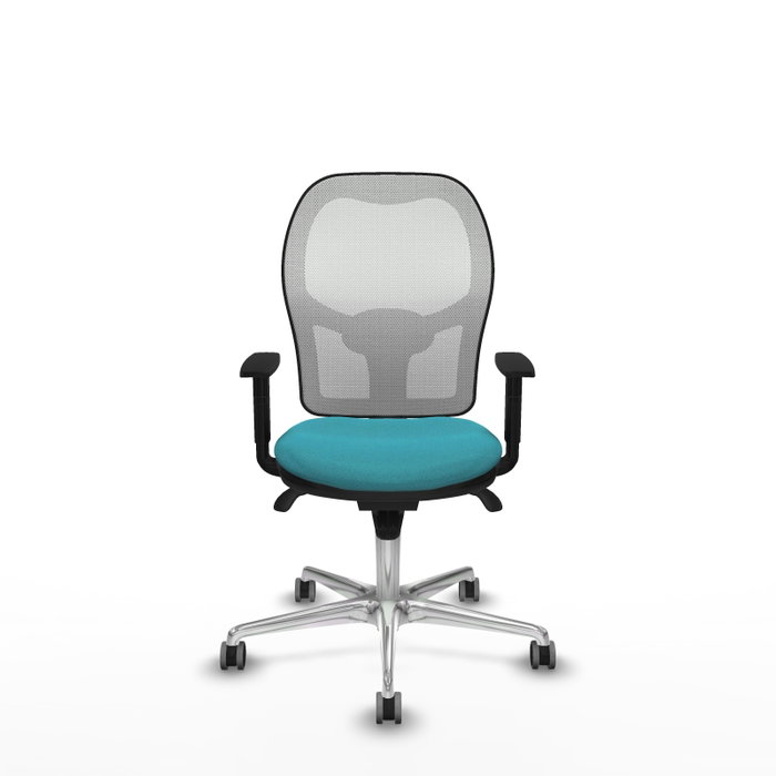PIQUERAS Y CRESPO Silla de oficina Jorquera con mecanismo Sincro, Tela Turquesa y Malla Blanca PIQUERAS Y CRESPO Silla de oficina Jorquera con mecanismo Sincro, Tela Turquesa y Malla Blanca
