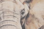 DKD Home Decor Lienzo de Lino Abeto Elefante Surtido 2 unidades (125x2,5x160 cm)