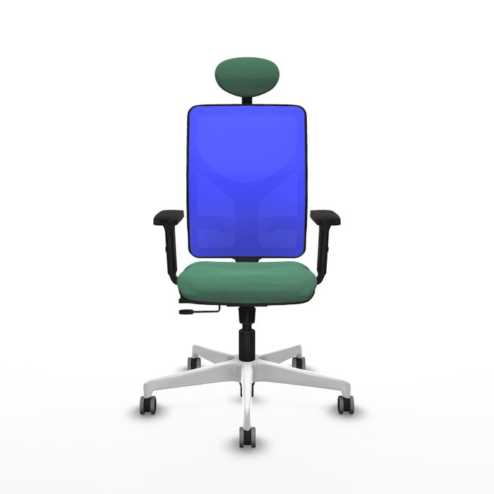 PIQUERAS Y CRESPO Silla de oficina Motilla con mecanismo Sincro/Traslack, Verde esmeralda y Azul PIQUERAS Y CRESPO Silla de oficina Motilla con mecanismo Sincro/Traslack, Verde esmeralda y Azul