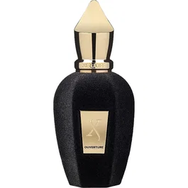 Xerjoff Ouverture Eau de Parfum 100 ml