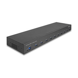 Delock Hub Industrial de 19" con 10 Puertos USB 3.2 Gen 2 Tipo-A, 10 Gbps, USB-B de Entrada, Plug & Play, Negro - 100-240V AC