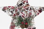 DKD Home Decor Estrella LED de Ratán Plateada con Diseño de Árbol