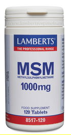Msm 1000 Mg