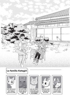 Diario De Nuestra Vida Entre Gatos En Kamakura 03