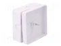 ELEKTRO-PLAST NASIELSK Caja de conexiones blanca de poliestireno 60x60x30mm