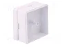 ELEKTRO-PLAST NASIELSK Caja de conexiones blanca de poliestireno 60x60x30mm