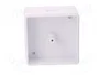ELEKTRO-PLAST NASIELSK Caja de conexiones blanca de poliestireno 60x60x30mm