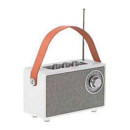 Camry Radio CR 1902 Altavoz Bluetooth Portátil con Radio FM (87-108 MHz), Sintonizador Analógico, Auxiliar, TWS, SD Card, USB-C Carga, Blanco