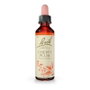 Bach Original Cherry Plum (Cerasífera) Nº6 20ml