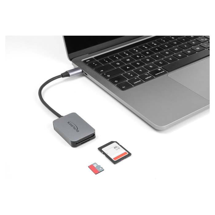 DeLOCK Lector de tarjetas USB Type-C 91009 Gris