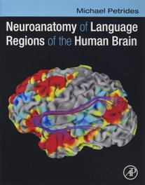 Academic Press Neuroanatomy of Language Regions of Human Brain