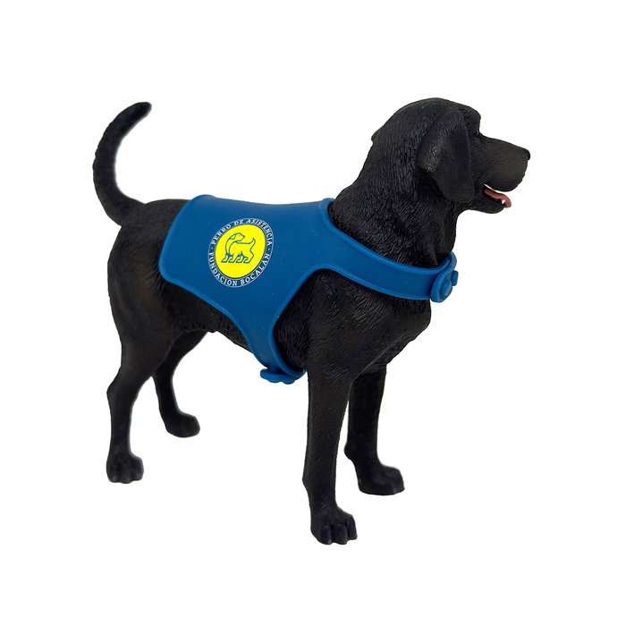 DEQUBE Perro Labrador Retriever Negro con Chaleco Bocalán