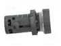 SCHNEIDER ELECTRIC Interruptor de presión Harmony XB7 22mm Blanco NA