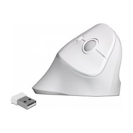 DeLOCK 12596 Ratón Ergonómico Vertical Inalámbrico Blanco