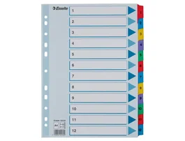 Esselte Separador Numérico 1-12 Cartulina Mylar Borra DIN A4 Multitaladro Multicolor Juego de 12