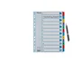 Esselte Separador Numérico 1-12 Cartulina Mylar Borra DIN A4 Multitaladro Multicolor Juego de 12