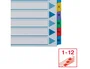 Esselte Separador Numérico 1-12 Cartulina Mylar Borra DIN A4 Multitaladro Multicolor Juego de 12