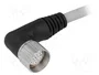 MURRELEKTRONIK Cable para sensores M23 hembra angular 19 pines 5m