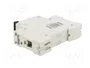 Promfactor Baltic Interruptor magnetotérmico ECO 63A 1 polo