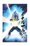 SD Toys Póster 3D Vegeta Universe Survival Dragon Ball Super 58x38cm