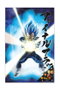 SD Toys Póster 3D Vegeta Universe Survival Dragon Ball Super 58x38cm