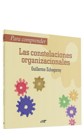 Para comprender las constelaciones organizacionales, Guillermo Echegaray Inda - VERBO DIVINO