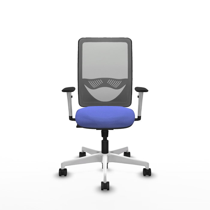PIQUERAS Y CRESPO Silla de oficina Zulema con mecanismo Sincro Azul claro y Gris PIQUERAS Y CRESPO Silla de oficina Zulema con mecanismo Sincro Azul claro y Gris