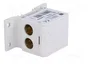 PAWBOL Bloque de Distribución 160A 600V Gris