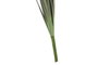 DKD Home Decor Planta Burdeos Rosa Palo 12 x 106 x 12 cm (2 Unidades)