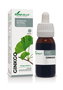 Soria Natural Extracto de Ginkgo Biloba Fórmula XXI 50ml
