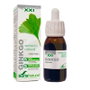 Soria Natural Extracto de Ginkgo Biloba Fórmula XXI 50ml